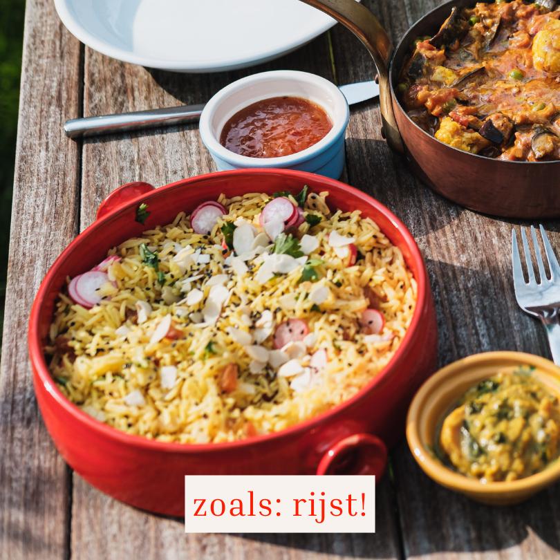
                  
                    Indian Roasted Aubergine & Cauliflower Curry - Solid Stash
                  
                