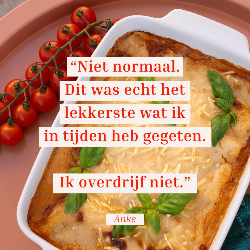 Luscious Lasagna for 2 - Solid Stash