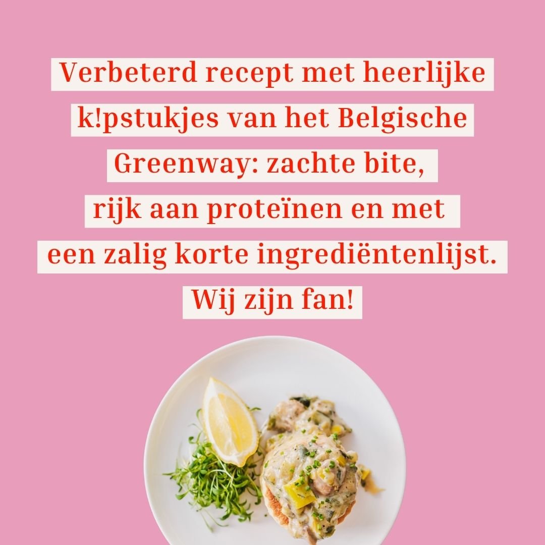 Vol-au-Vegan met Belgische Filetstukjes - Solid Stash
